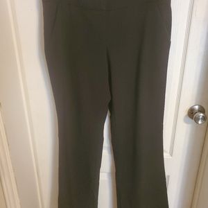 NY & Company pants